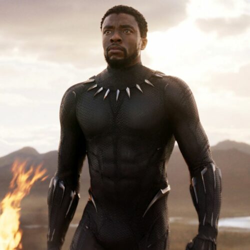 black panther model